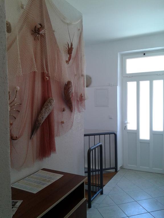 Apartments Toma Bajnice Directly Krilo 外观 照片